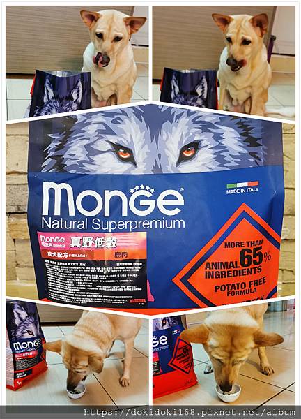 IMG_20200222_173259_meitu_1.jpg IMG_20200222_173259_meitu_1.jpg