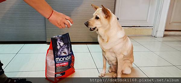 IMG_20200222_173913_1.jpg IMG_20200222_173913_1.jpg