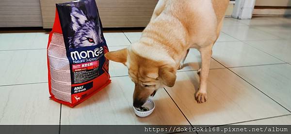 IMG_20200222_173922.jpg IMG_20200222_173922.jpg