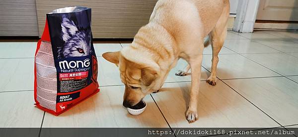 IMG_20200222_173850.jpg IMG_20200222_173850.jpg