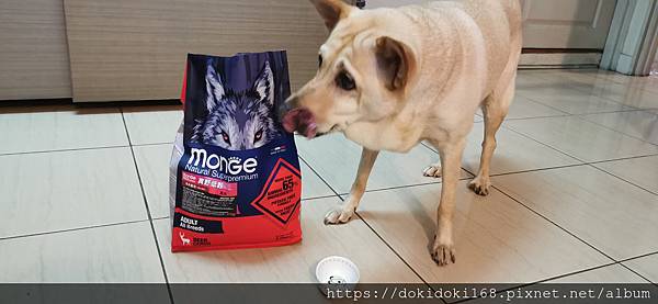 IMG_20200222_173955.jpg IMG_20200222_173955.jpg