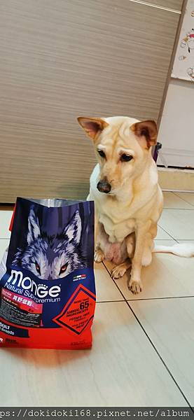 IMG_20200222_174014.jpg IMG_20200222_174014.jpg