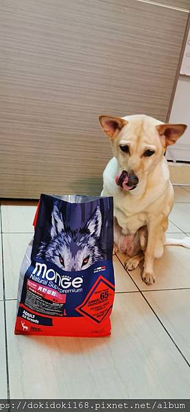 IMG_20200222_174016.jpg IMG_20200222_174016.jpg