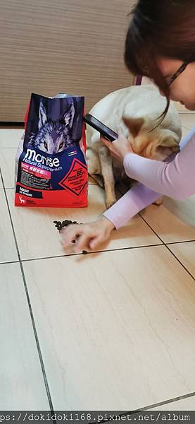 IMG_20200222_174114.jpg IMG_20200222_174114.jpg