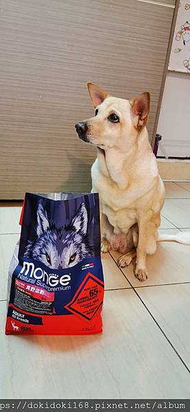 IMG_20200222_174020.jpg IMG_20200222_174020.jpg