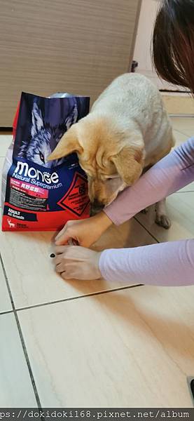 IMG_20200222_174139.jpg IMG_20200222_174139.jpg