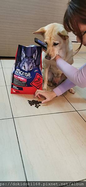 IMG_20200222_174114_1.jpg IMG_20200222_174114_1.jpg