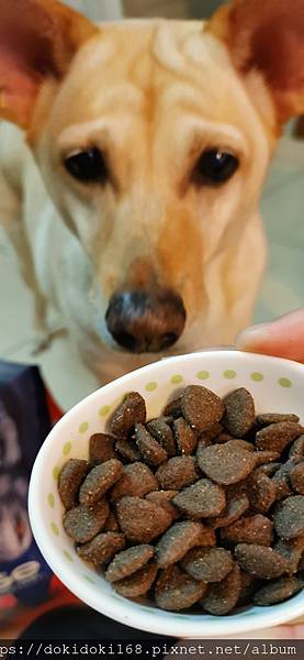 IMG_20200222_174233.jpg IMG_20200222_174233.jpg