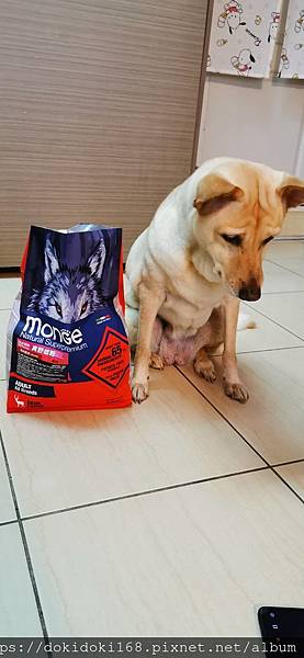 IMG_20200222_174146.jpg IMG_20200222_174146.jpg