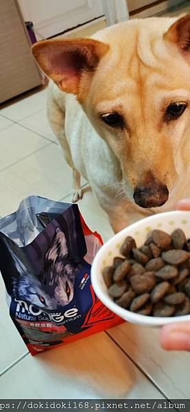 IMG_20200222_174243.jpg IMG_20200222_174243.jpg