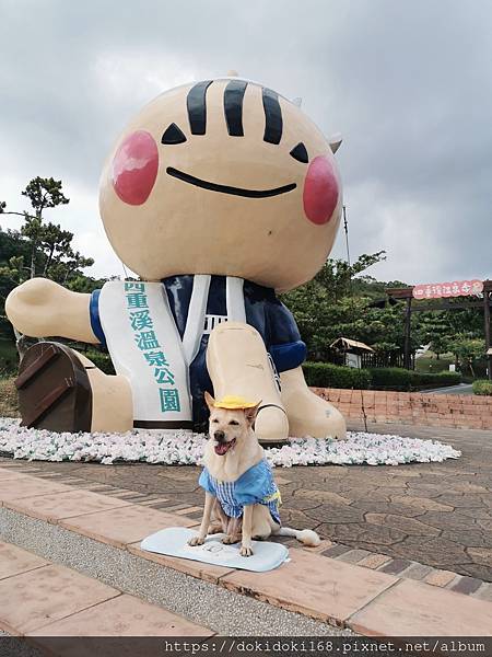 IMG_20211118_143306_1_mh1637317077132.jpg IMG_20211118_143306_1_mh1637317077132.jpg