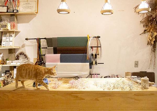 桂舍 Kuei Fleur1 桂舍 Kuei Fleur1