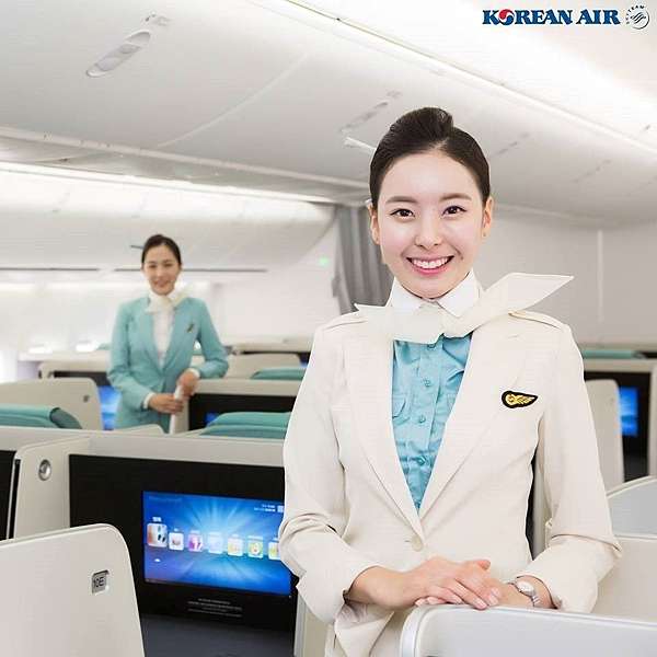 大韓航空 CA 制服 半袖ブラウス ＋おまけ 大韓航空 CA 制服 半袖ブラウス ＋おまけ