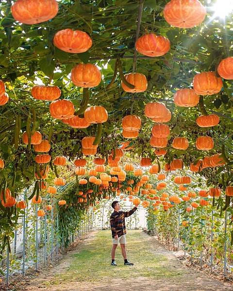 photo (4).jpg photo (4).jpg