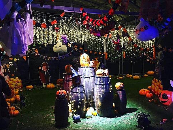 photo (5).jpg photo (5).jpg