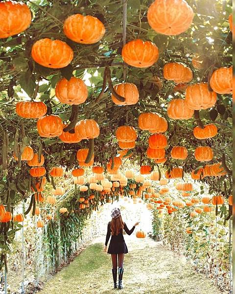 photo (8).jpg photo (8).jpg