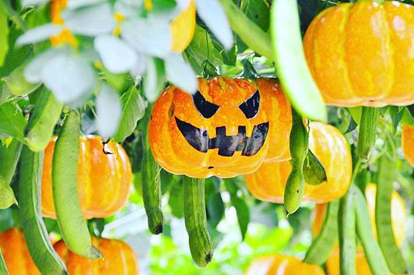 photo (10).jpg photo (10).jpg