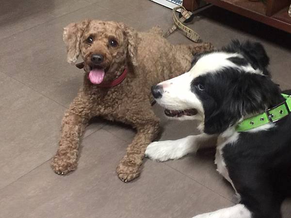 S__16867344.jpg S__16867344.jpg