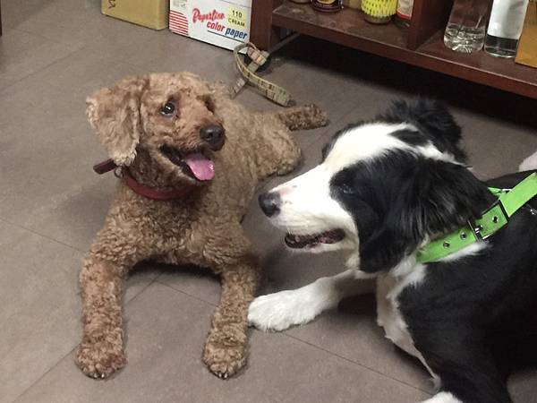 S__16867345.jpg S__16867345.jpg