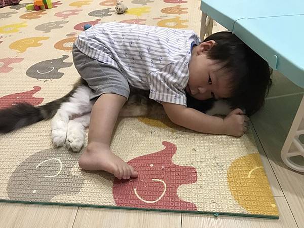 S__11093529.jpg S__11093529.jpg