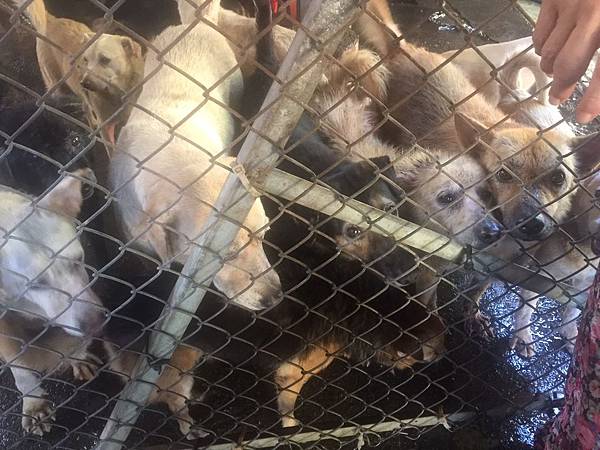 S__29286498.jpg S__29286498.jpg