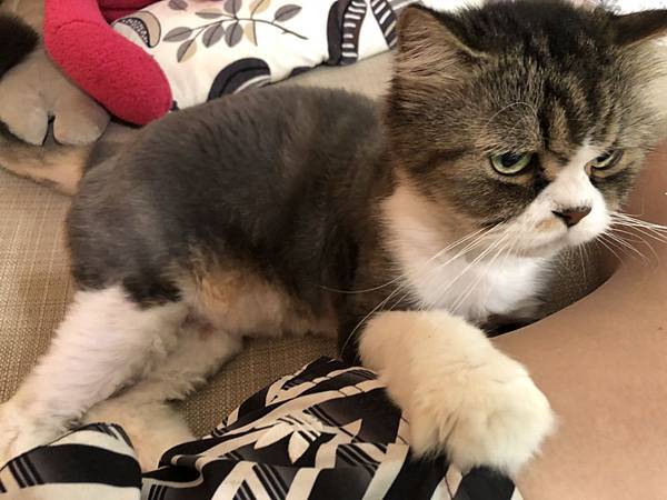 S__34251025.jpg S__34251025.jpg