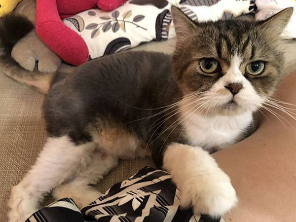 S__34251026.jpg S__34251026.jpg