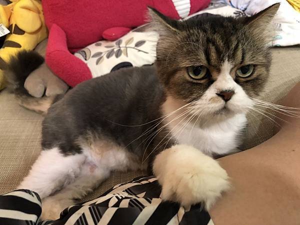 S__34251024.jpg S__34251024.jpg