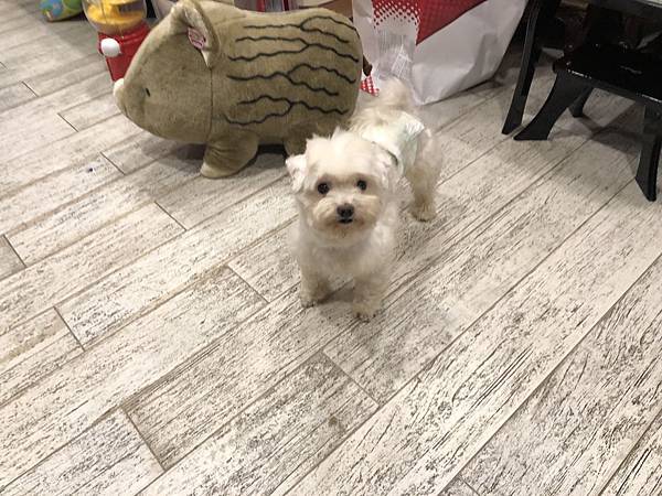 IMG_9839.JPG IMG_9839.JPG