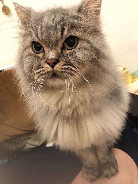 S__59310107.jpg S__59310107.jpg