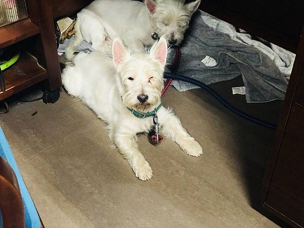 S__39280669.jpg S__39280669.jpg