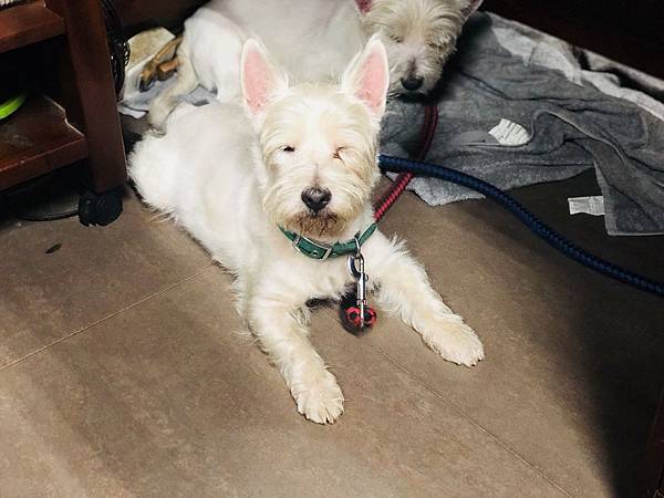 S__39280668.jpg S__39280668.jpg