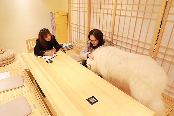 IMG_5011.JPG IMG_5011.JPG