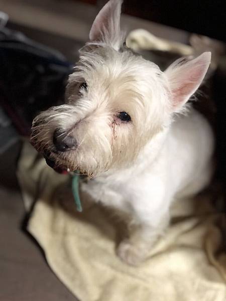 S__42450983.jpg S__42450983.jpg