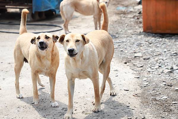 IMG_5788.JPG IMG_5788.JPG