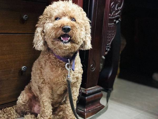 S__45383738.jpg S__45383738.jpg