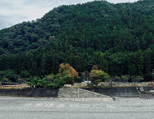 2024 ~安柏帶路~日本近畿 熊野三山9日自由行∣11/9