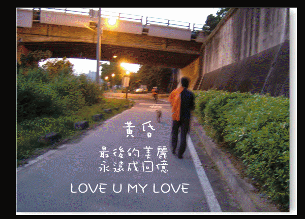 MY LOVE2.gif