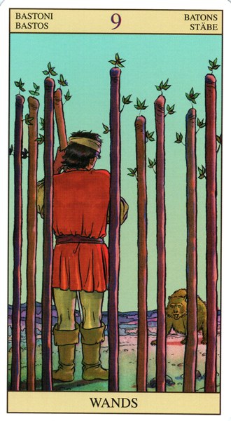 nine of wands.jpg