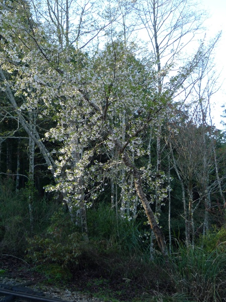 P1010140.JPG