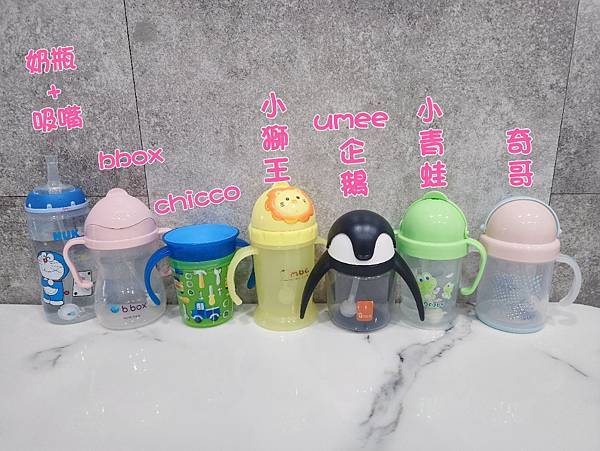 寶寶(幼兒)的水杯要如何選擇?就讓豚媽來介紹比較看看吧!