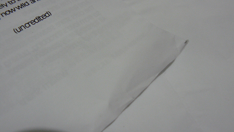 P1100410 P1100410