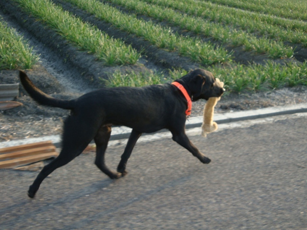 2009/04/17-鄉間小路跑跑