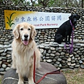 20090101-台東森林公園