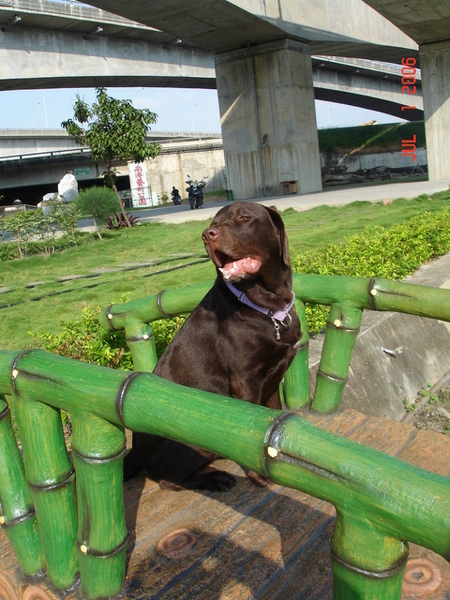 01/07/06-南港藝術公園