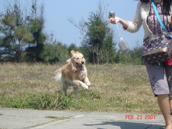 大年初六遊台中港