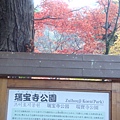 11/28-瑞寶寺公園