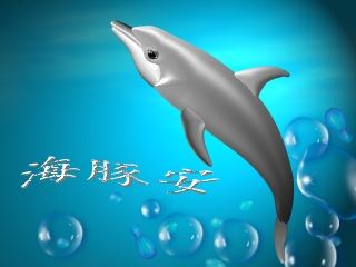 海豚.jpg