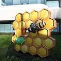 DSCN2579