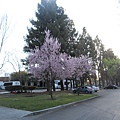 DSCN2602